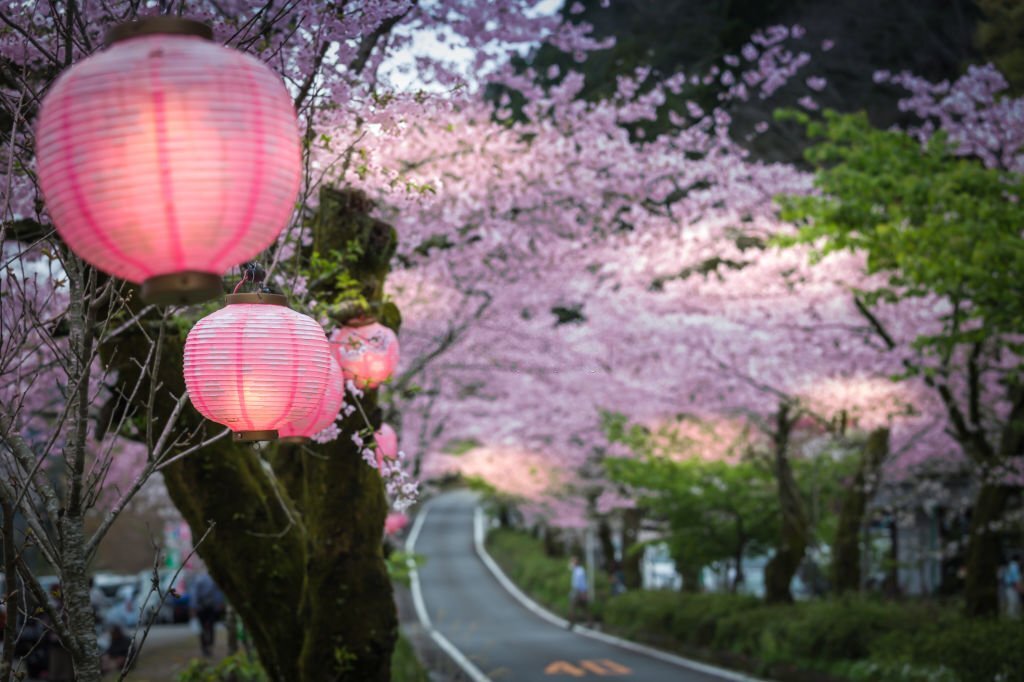 Japan Tourism: Seasonal Guide for Unforgettable Experience