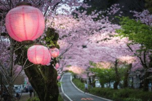 Japan Tourism: Seasonal Guide for Unforgettable Experience