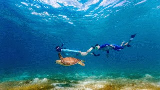 Your Ultimate Guide To Snorkel in Maldives In 2022