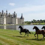 Château de Chantilly: Art, Gardens & Horses Guide