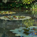 Auvers-sur-Oise: Van Gogh’s Final Landscapes Guide